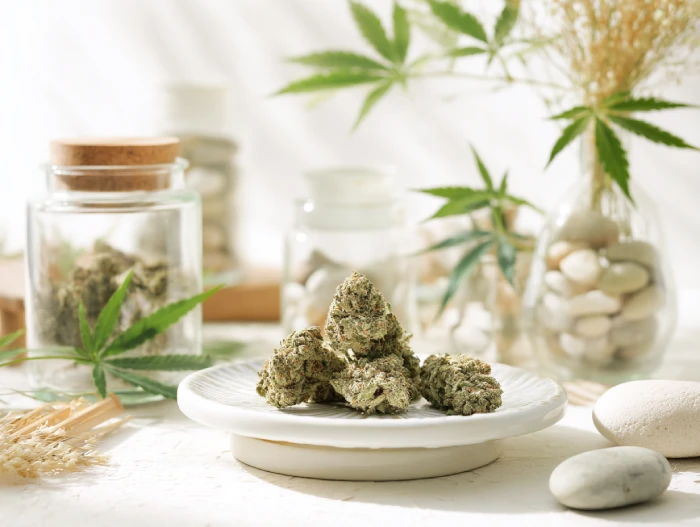 Fleurs CBD